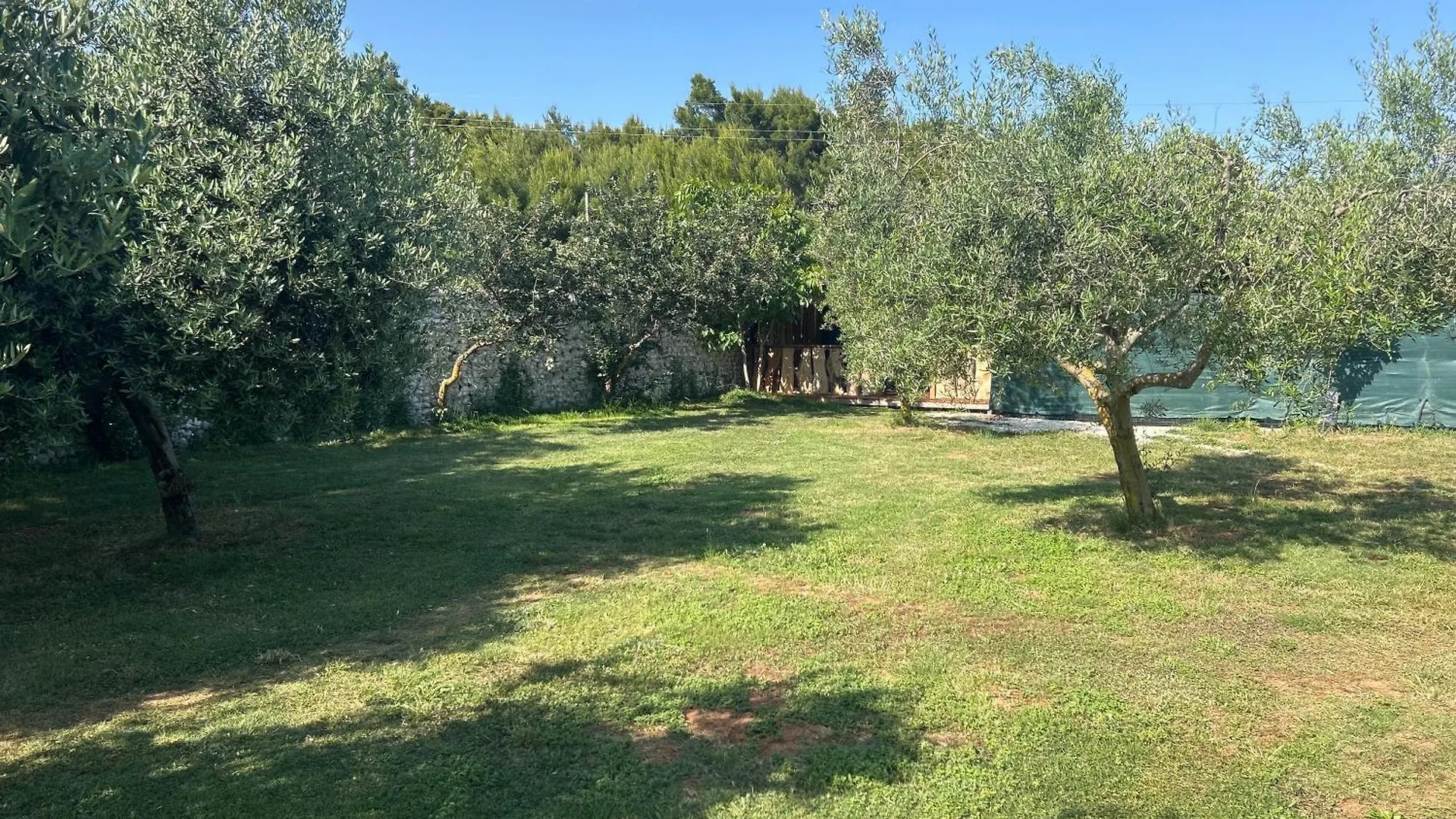 Large Camper In The Olive Grove Hotel Banjole Croatia